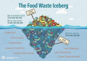 The Food Waste Iceberg